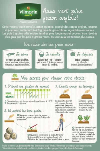Légumes Secs - Pois Nain à Grain Ridé Merveille de Kelvedon - 20 m - MEDIA_PACKAGING_VERSO